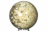 Colorful Ocean Jasper Sphere - Madagascar #317341-1
